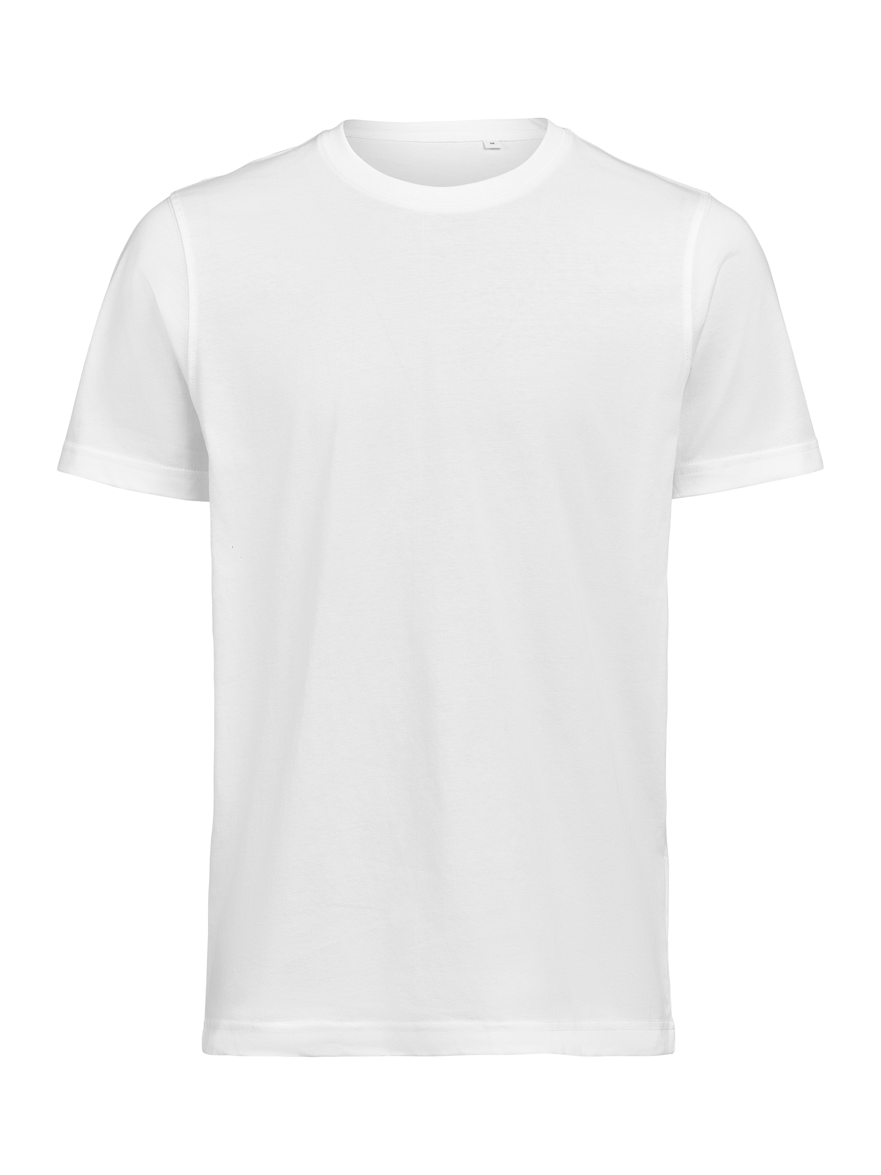 UM T-Shirt (OCS) Regular Fit Unisex