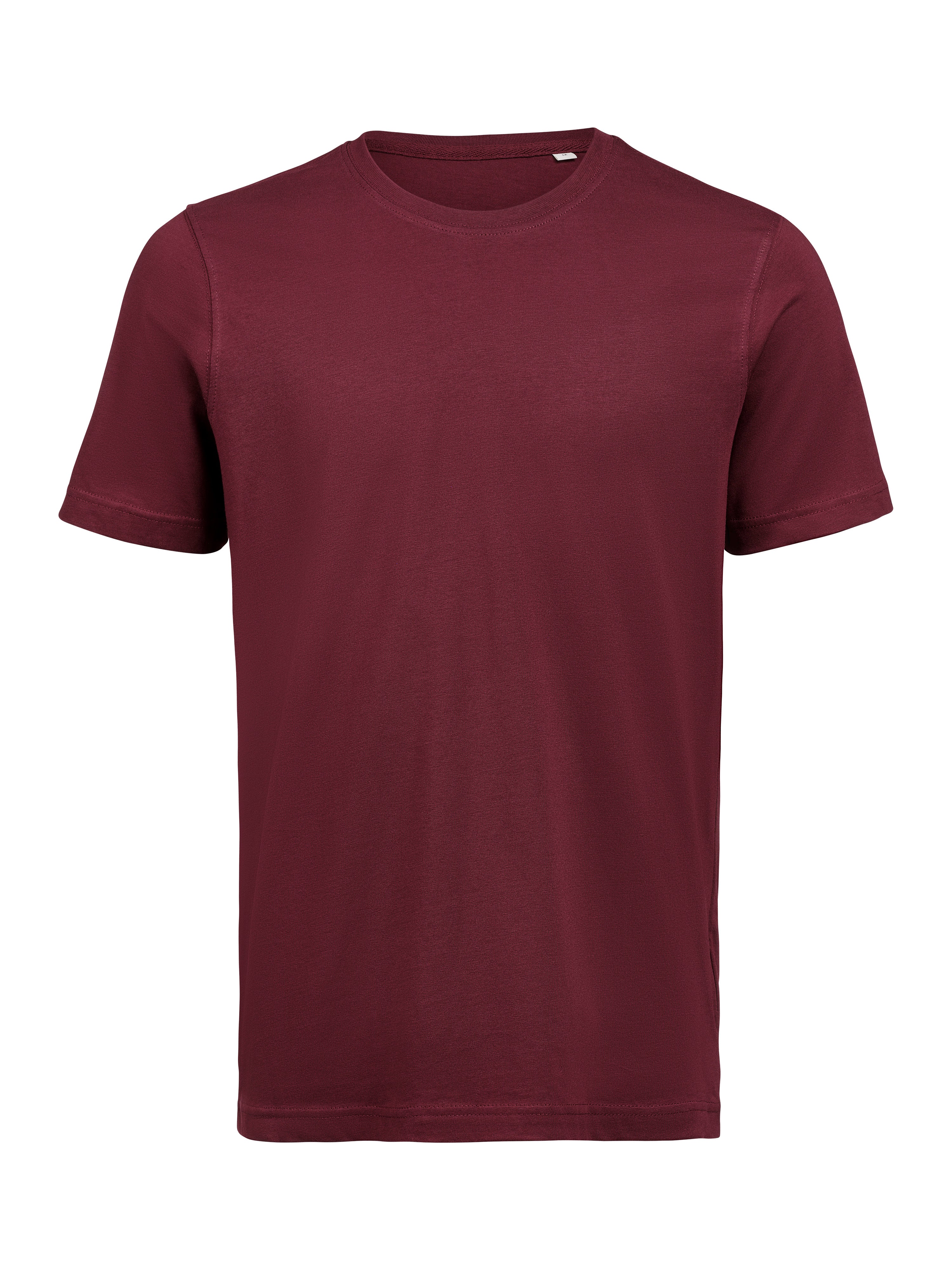 UM T-Shirt (OCS) Regular Fit Unisex
